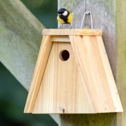 Build-Your-Own Nala 28mm Nest Box -Bird Supplies Store 90122 06