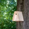 Build-Your-Own Nala 28mm Nest Box -Bird Supplies Store 901220119 nala nest box sw low res 4840