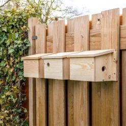 House Sparrow Multi Nest Box 34mm -Bird Supplies Store 901670120 901690120 901680120 house sparrow multi box sw low res 9474 1