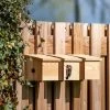 House Sparrow Multi Nest Box 34mm -Bird Supplies Store 901670120 901690120 901680120 house sparrow multi box sw low res 9654
