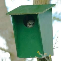 Tawny Owl, Stock Dove And Jackdaw Nest Box -Bird Supplies Store 90316
