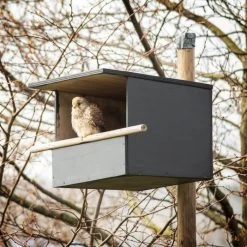 Kestrel Nest Box