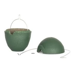 WoodStone® Malaga 32mm Nest Box (Green) -Bird Supplies Store 904960119 6