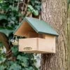 Blackbird Open Nest Box -Bird Supplies Store 905100119 jvg 2951
