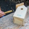 National Trust Build-Your-Own 32mm Nest Box -Bird Supplies Store 905110121 10