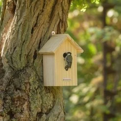 National Trust Build-Your-Own 32mm Nest Box -Bird Supplies Store 905110621 4