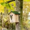 National Trust Blue Tit Nest Box 28mm Gift Set -Bird Supplies Store 905340121 jvg 7615