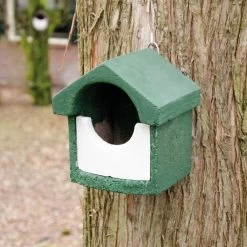 National Trust Green WoodStone Open Nest Box -Bird Supplies Store 905960119 cjw woodstone small open green clip 2012 1