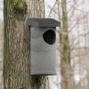 WoodStone® Tawny Owl Nest Box -Bird Supplies Store 90665 1 2