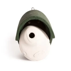 WoodStone® Alicante 32mm Nest Box (Green) -Bird Supplies Store 90693 03