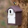 WoodStone® Seville 32mm Oval Hole Nest Box (Brown) -Bird Supplies Store 90701 1