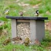 WoodStone® Ground Feeder -Bird Supplies Store 90739 1