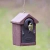WoodStone® Salamanca 32mm Oval Hole Nest Box -Bird Supplies Store 90741 1