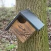 Austin Nest Box -Bird Supplies Store 90761