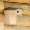 Starling Nest Box With Balcony -Bird Supplies Store 90778 1