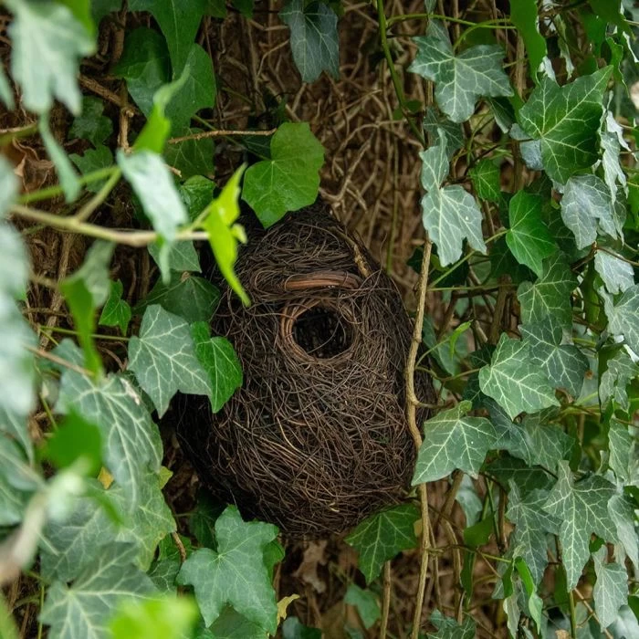 Funchal Lounge Roosting Nest 4 Funchal Lounge Roosting Nest - Image 2