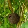 Machico Lounge Roosting Nest -Bird Supplies Store 909220119 machico nester qpa9524