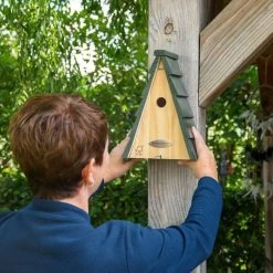 National Trust Aspen Larch 28mm Nest Box -Bird Supplies Store 909740121 5