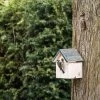 Helsinki 28mm Nest Box -Bird Supplies Store 909760119 helsinki nest box 28 mm sw low res 9171
