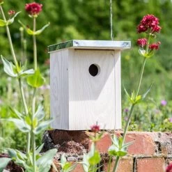 Bird Supplies Store -Bird Supplies Store 909770119 jvg 7197 1