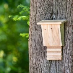 Build-Your-Own Igor Bat Box