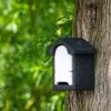 Harlech WoodStone® Bat Box