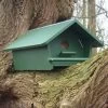 Little Owl Apex Nest Box -Bird Supplies Store 93049 1