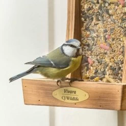 Premium Table Bird Seed Mix -Bird Supplies Store 93065 13045 2