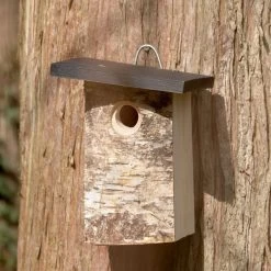 Bergen 32mm Nest Box -Bird Supplies Store 93598 4