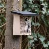 Stavanger 32mm Nest Box -Bird Supplies Store 93599 6 1 1