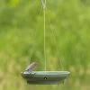 Vesi Hanging Bird Bath -Bird Supplies Store 93838 hanging bird bath vesi