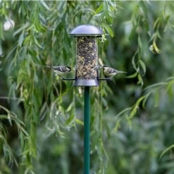 CJ's Garden Pole -Bird Supplies Store 940010619 combi paal groen jvg 9176