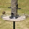 Large Feeder Tray -Bird Supplies Store 94061 1