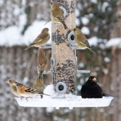 Large Feeder Tray -Bird Supplies Store 94061 large feeder tray 33000 conqueror 1