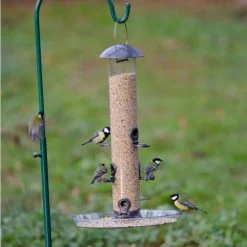 Large Feeder Tray -Bird Supplies Store 94061 3 1