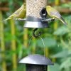 Bird Feeder Link -Bird Supplies Store 94072