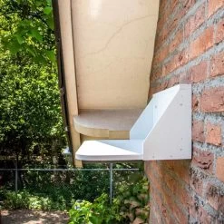 Bird Supplies Store -Bird Supplies Store 943990120 droppingboard house swallow mestplank huiszwaluw sw low res 4662