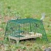 Ground Feeder Guardian -Bird Supplies Store 94500 2 1