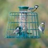 2 Port Bird Seed Feeder With Guardian -Bird Supplies Store 94542 1
