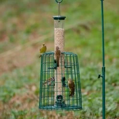 6 Port Bird Seed Feeder With Guardian