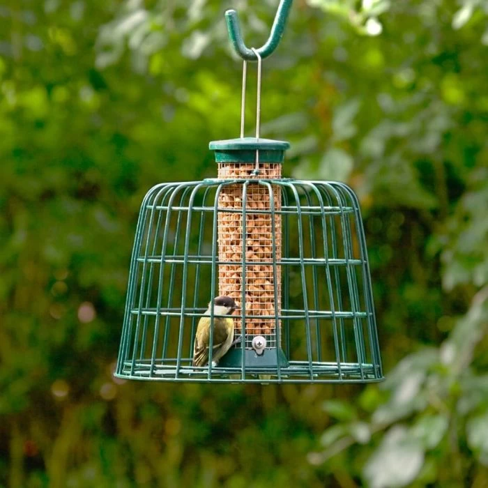 Small Peanut Bird Feeder With Guardian 3 Small Peanut Bird Feeder With Guardian