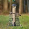 Adventurer 6 Port Bird Seed Feeder With Guardian -Bird Supplies Store 945472 1