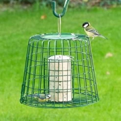 Fat Ball & Peanut Cake Guardian Bird Feeder -Bird Supplies Store 945500121