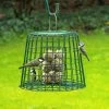 Fat Ball & Peanut Cake Guardian Bird Feeder -Bird Supplies Store 9455001211