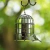 Milan Guardian Bird Seed Feeder -Bird Supplies Store 94557