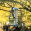 Adventurer 4 Port Bird Seed Feeder With Guardian -Bird Supplies Store 94604 1