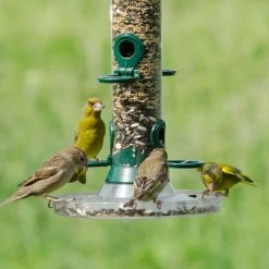 Bird Feeder Seed Mix -Bird Supplies Store 98088 15105