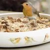 Best Robin Blend Bird Seed Mix -Bird Supplies Store 98314 12058