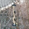 Apollo 8 Port Seed Feeder -Bird Supplies Store apollo 8 bird feeder 311140119