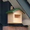 Ecuador Half-Open Nest Box -Bird Supplies Store ecuador nest box 90608